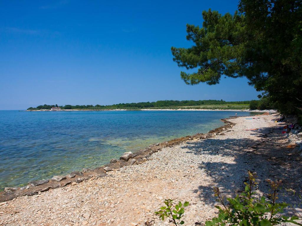 Camping Adria Mobile Homes In Camping Kastanija Novigrad Istria Eksteriør billede